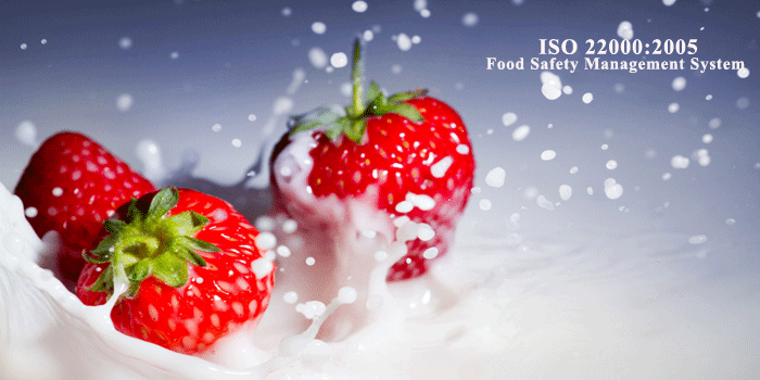 ISO 22000:2005   Food Safety Management System